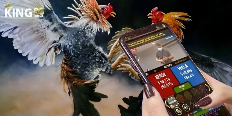 App đá gà Những lưu ý để tải app cược đá gà thành công