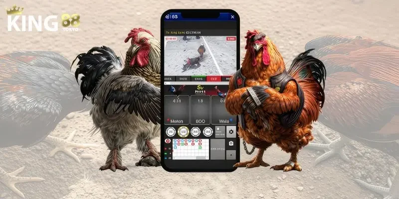 App đá gà Thông tin chung về app đá gà